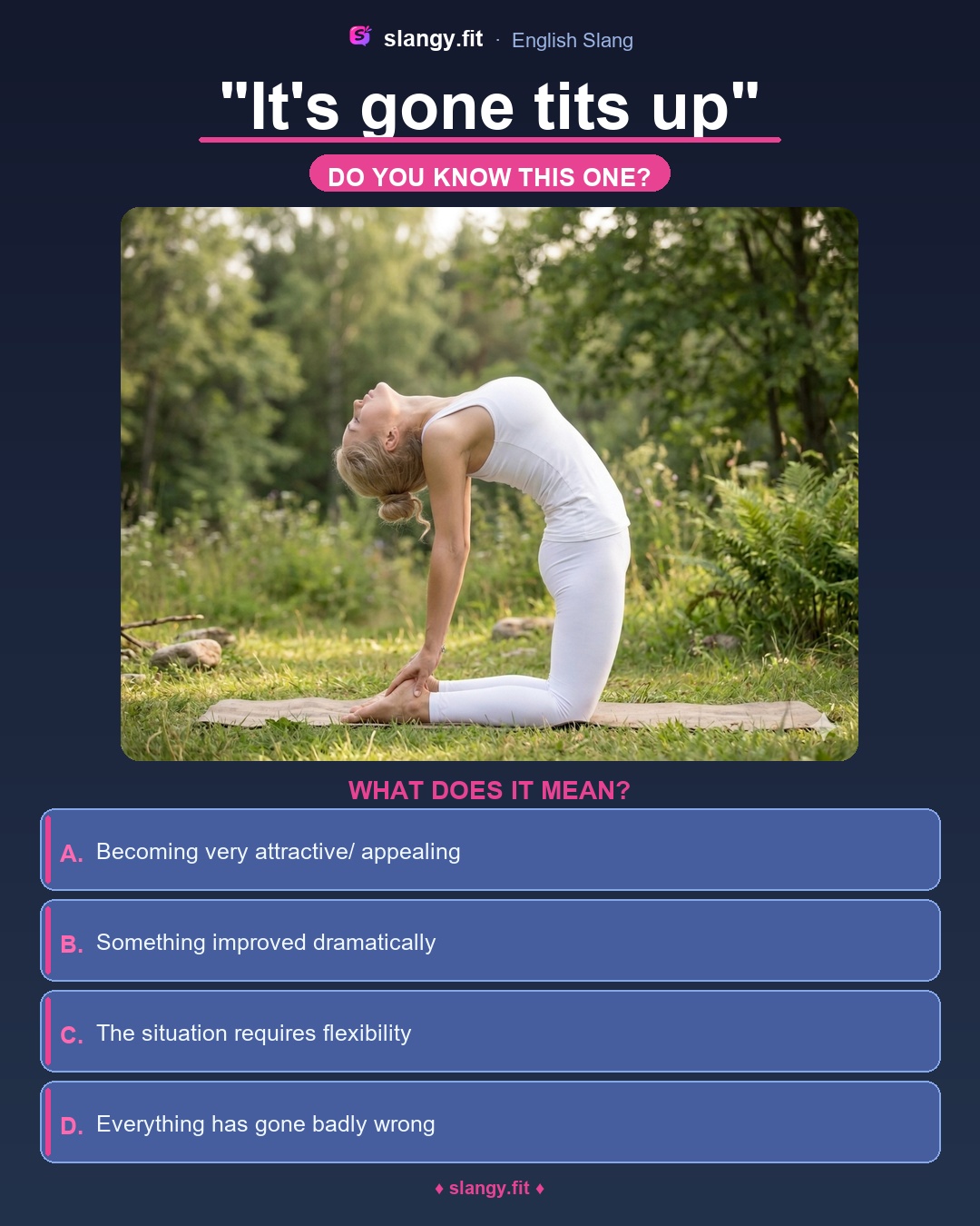 Quiz: What does 'It's gone tits up' mean in English? Four multiple-choice options: Something improved dramatically, Becoming very attractive/ appealing, The situation requires flexibility